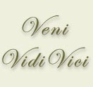 часы Veni Vidi Vici