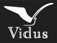 часы Vidus