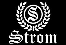 Наручные часы Daniel Strom