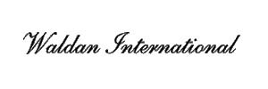 часы Waldan International