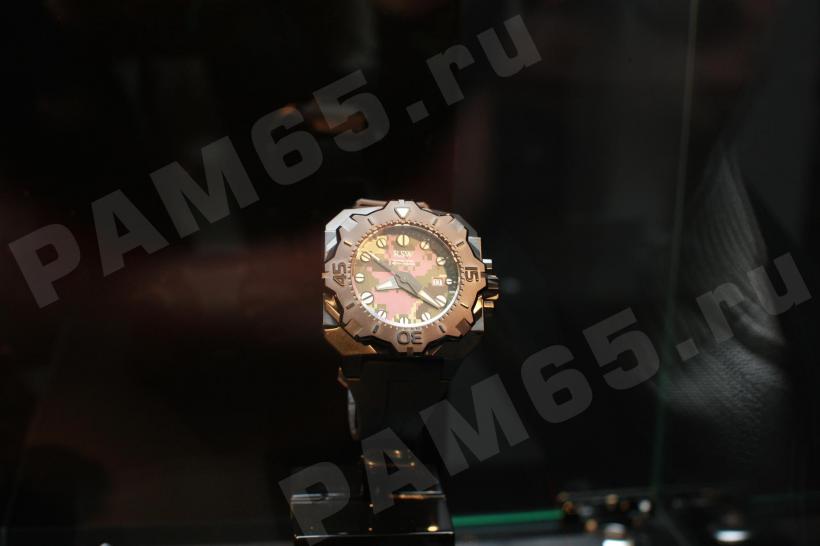 GTE 2012: Часы RSW