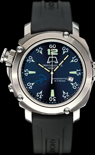 Anonimo Firenze Professionale C.N.S.