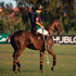 Компания Hublot стала хронометристом турнира по поло XLII Sotogrande