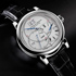 SIHH-2014: Richard Lange Perpetual Calendar ''Terraluna'' от A. Lange & Sohne