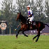 Hublot сотрудничает с Tang Polo Club