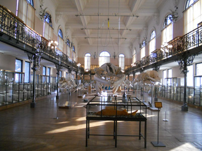 океанографический музей в Монако