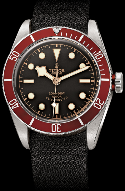часы Black Bay (Ref. 79220R)