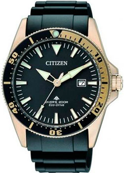 часы Promaster Sea Diver (Ref. BN0100-00E)