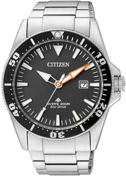 часы Promaster Sea Diver (Ref. BN0104-09E)
