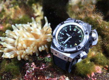 к несчастью, Hublot утонули... к несчастью, Hublot утонули...