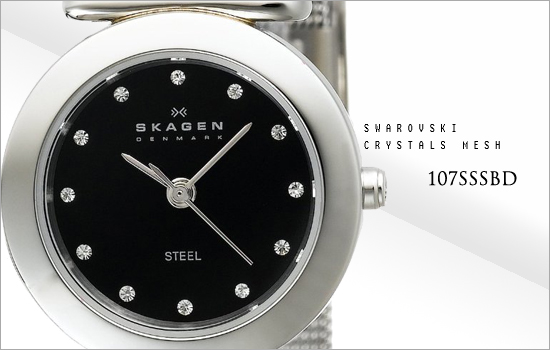 часы Skagen 107SSSBD