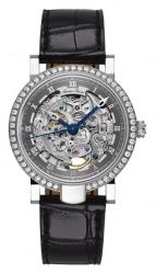 Special Edition Skeleton Automatic