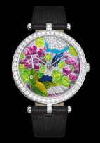 Extraordinary Hummingbirds